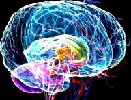 Что мы знаем о боли? Предпосылки (спинного мозга, боли которые) Что мы знаем о боли? Предпосылки