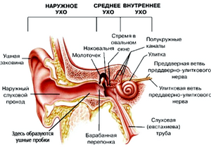 Отит: как снять воспаление уха? 