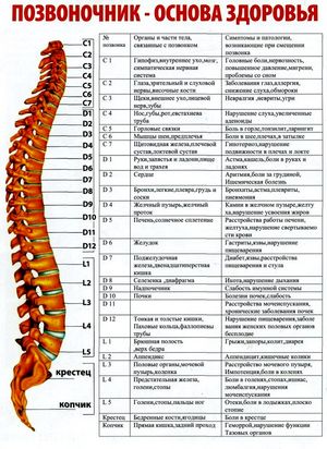 Боль в позвоночнике – 1-ый признак заболевания 